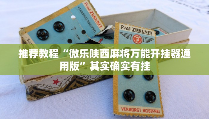 介绍一款“新永和可以开挂吗”其实确实有挂