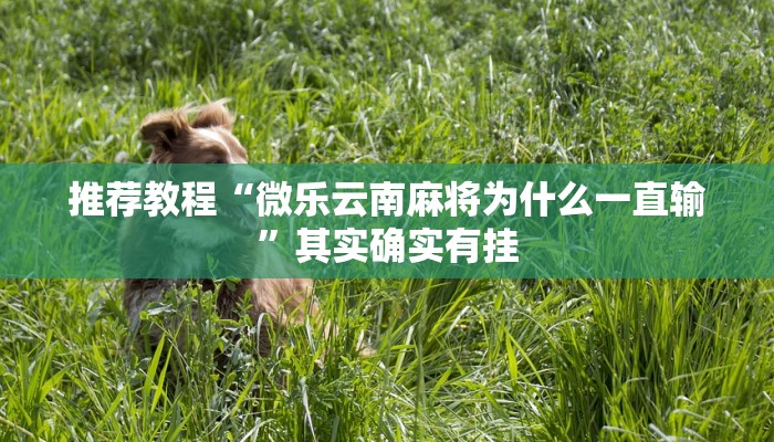 推荐教程“微乐云南麻将为什么一直输”其实确实有挂