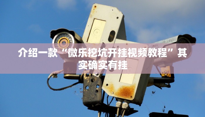 推荐教程“天天休闲可以开挂吗”其实确实有挂