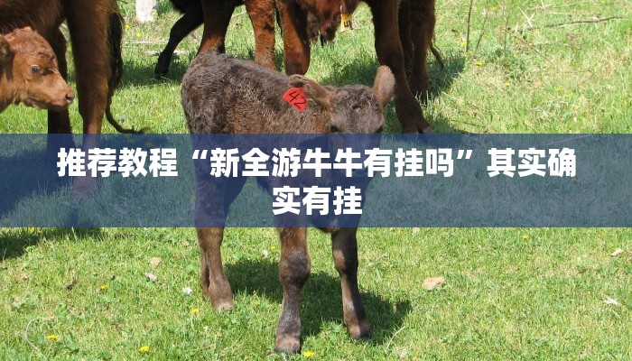 推荐教程“新全游牛牛有挂吗”其实确实有挂