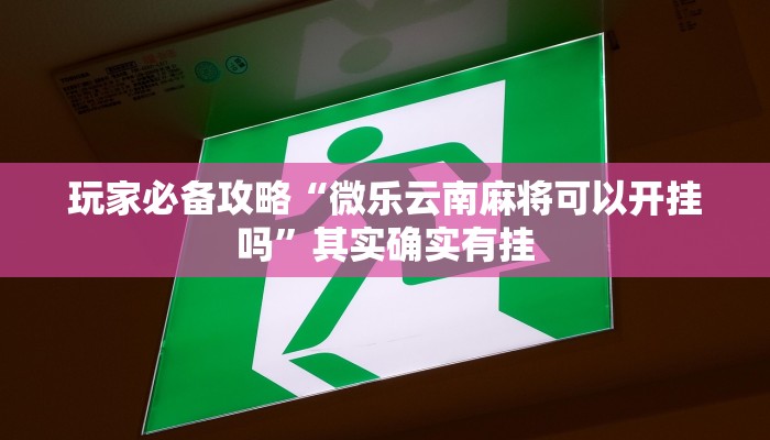 玩家必备攻略“微乐云南麻将可以开挂吗”其实确实有挂