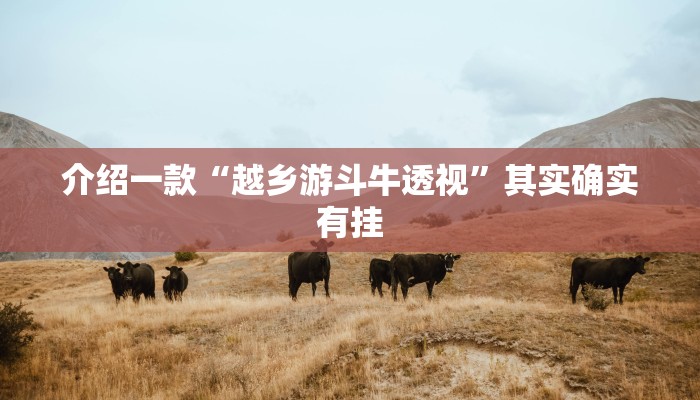 介绍一款“越乡游斗牛透视”其实确实有挂
