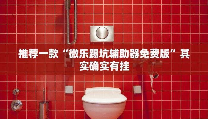 推荐一款“微乐踢坑辅助器免费版”其实确实有挂