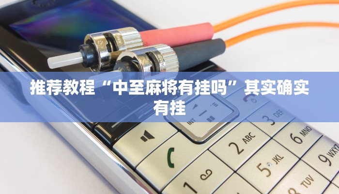 推荐一款“喜扣跑胡子辅助器”其实确实有挂