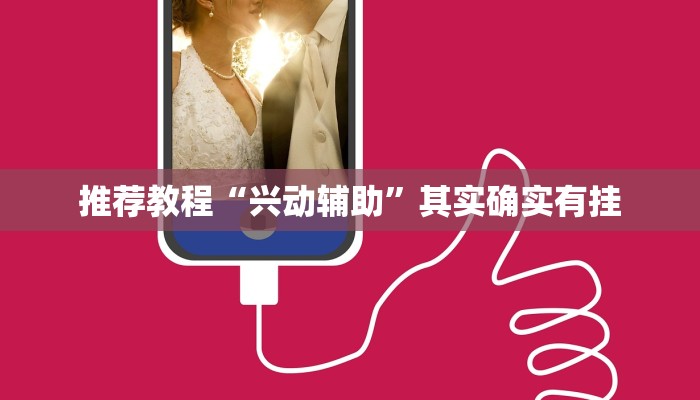 推荐教程“兴动辅助”其实确实有挂