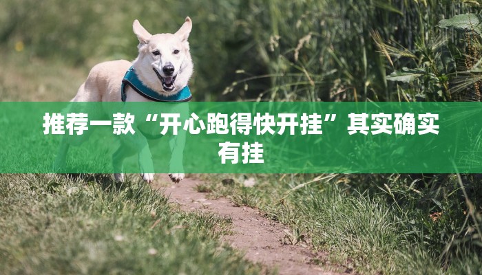 推荐一款“开心跑得快开挂”其实确实有挂
