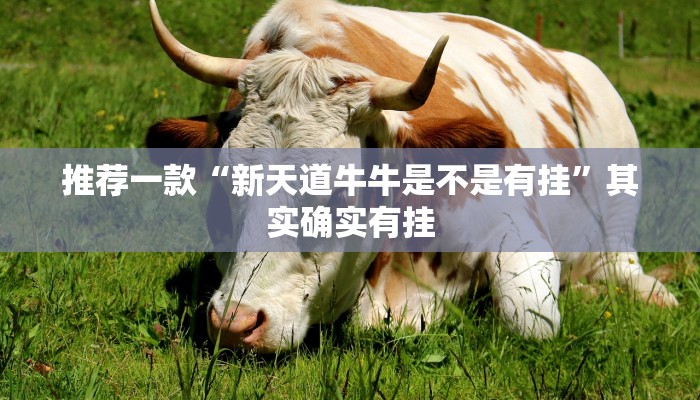 推荐一款“新天道牛牛是不是有挂”其实确实有挂
