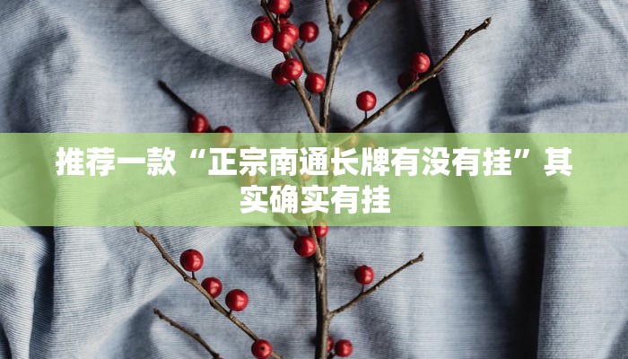 介绍一款“湘中娱乐有挂吗”其实确实有挂