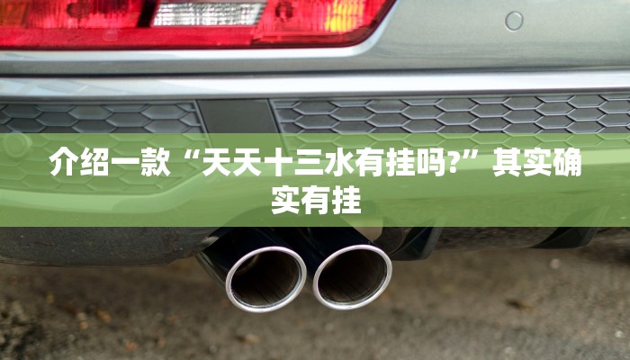 介绍一款“新人皇有挂吗”其实确实有挂