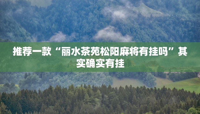 介绍一款“皮皮跑胡子开挂神器”其实确实有挂