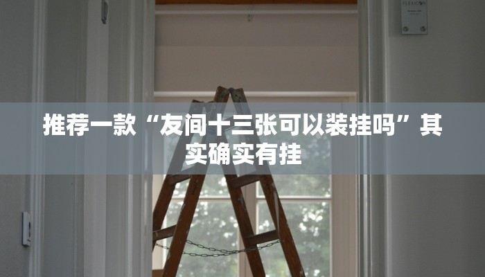 推荐一款“友间十三张可以装挂吗”其实确实有挂