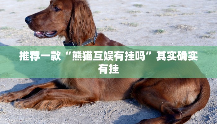 推荐一款“熊猫互娱有挂吗”其实确实有挂