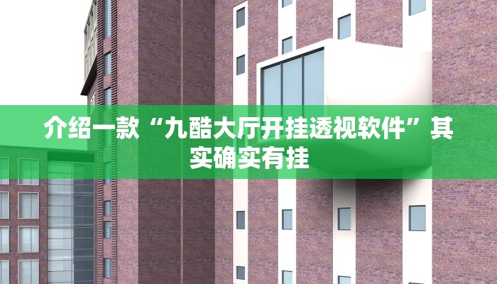 介绍一款“九酷大厅开挂透视软件”其实确实有挂