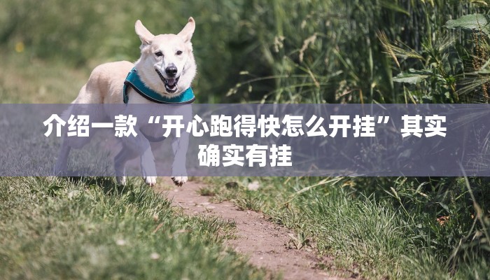 推荐教程“天天福建十三张怎么开挂”其实确实有挂