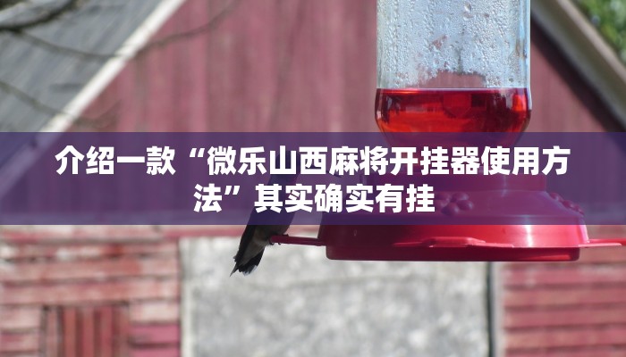推荐教程“乐乐四川麻将有没有挂”其实确实有挂