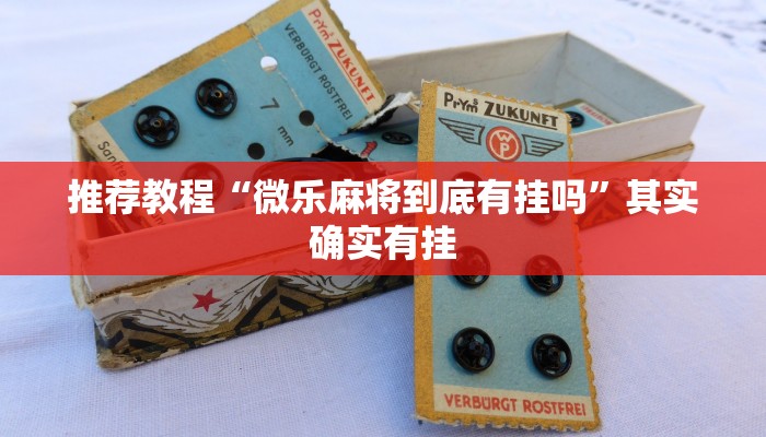 介绍一款“闲逸碰胡开挂神器”其实确实有挂
