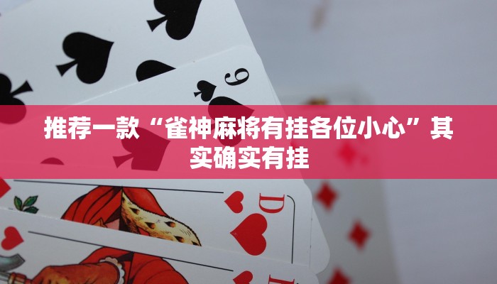 介绍一款“鑫豪天地小九如何开挂”其实确实有挂