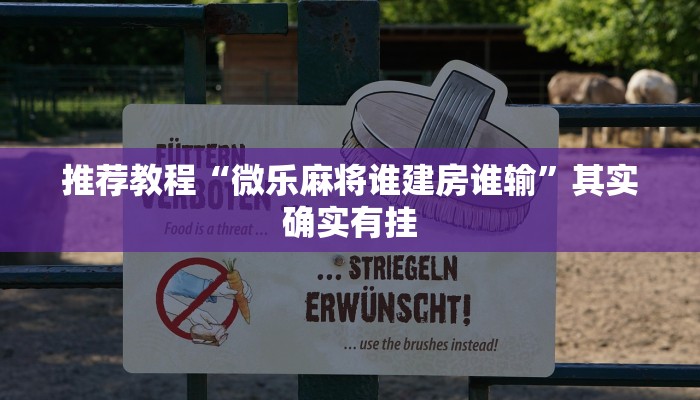 推荐教程“长虹大厅透视辅助50一天”其实确实有挂