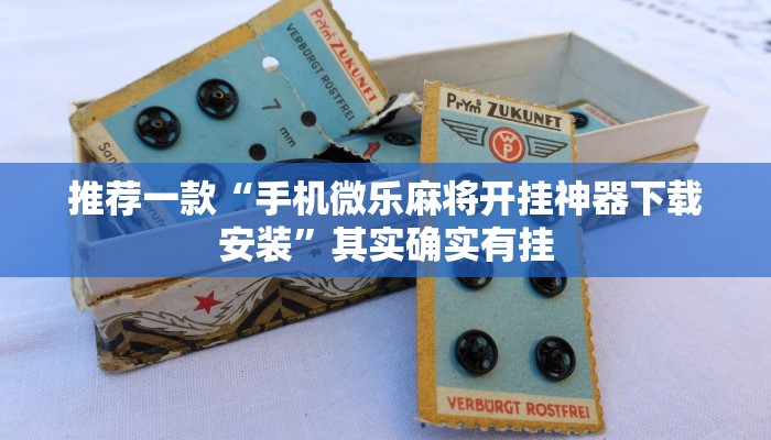 推荐一款“闲逸游戏辅助器免费版”其实确实有挂