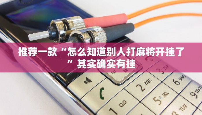 推荐一款“新天天游戏开挂”其实确实有挂