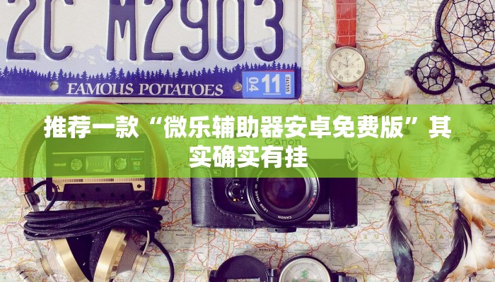 推荐一款“微乐保皇作弊太厉害”其实确实有挂