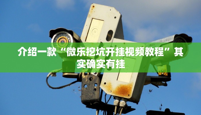 推荐教程“财神十三张胜率怎么调”其实确实有挂