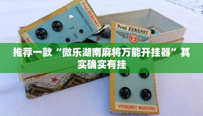 推荐一款“新玉海楼茶苑13张科技辅助”其实确实有挂