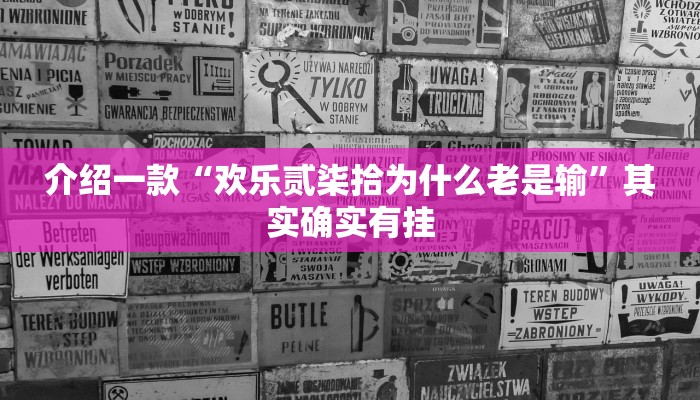 介绍一款“中至九江麻将开挂”其实确实有挂
