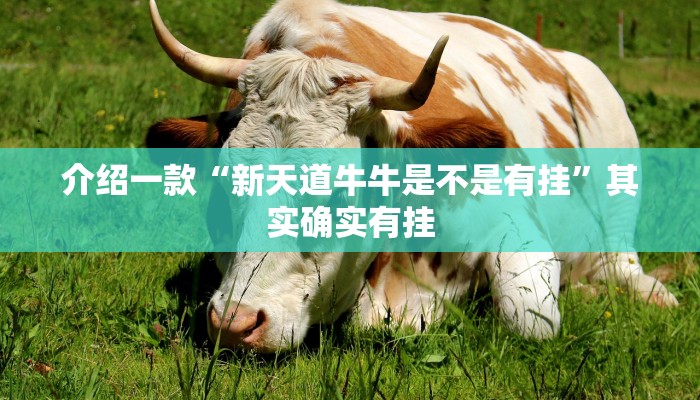 介绍一款“微乐内蒙麻将可以开挂吗”其实确实有挂