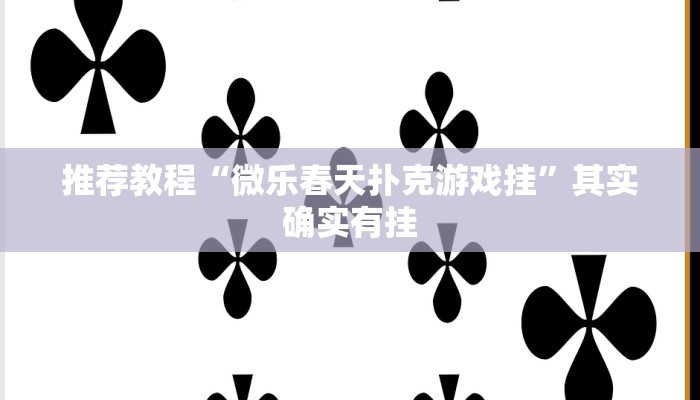 推荐一款“八闽十三张技巧”其实确实有挂