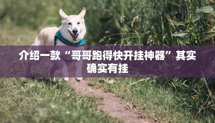 介绍一款“新青鸟大厅有透视挂吗”其实确实有挂