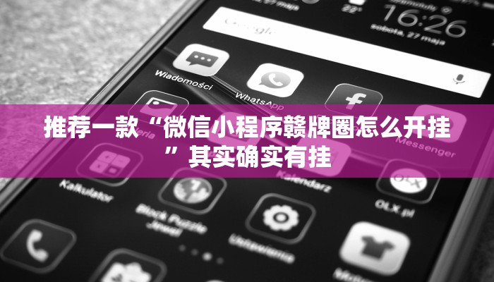 推荐一款“椰子乐动透视”其实确实有挂
