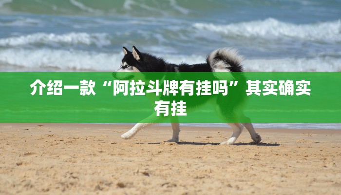 推荐一款“财神十三水辅助”其实确实有挂