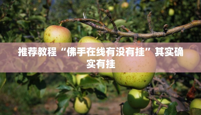介绍一款“蛮王大厅可以开挂吗”其实确实有挂