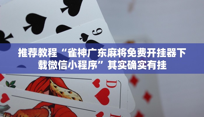 推荐一款“八闽十三张卖挂是真的吗”其实确实有挂