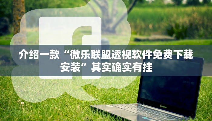 介绍一款“三哥玩摆头注怎么拿好牌”其实确实有挂