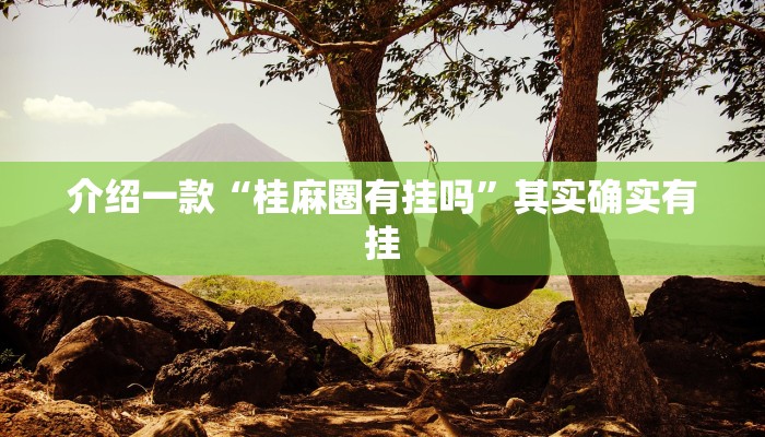 推荐一款“都莱辅助器先用后付款”其实确实有挂