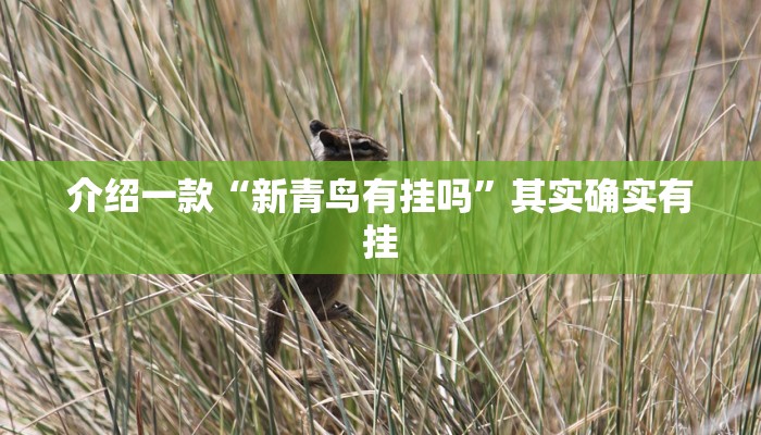推荐一款“欢聚斗地主水鱼透视怎么开”其实确实有挂