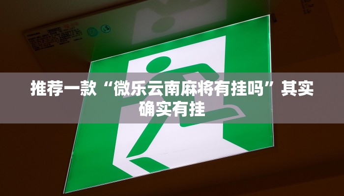 介绍一款“黄山麻将怎么开挂”其实确实有挂