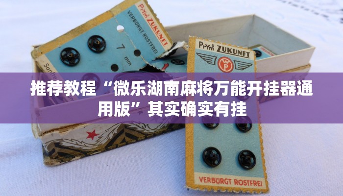 介绍一款“大头十三水怎么开挂”其实确实有挂