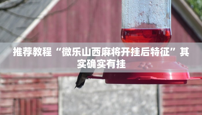 推荐一款“鑫豪天地怎么作弊”其实确实有挂