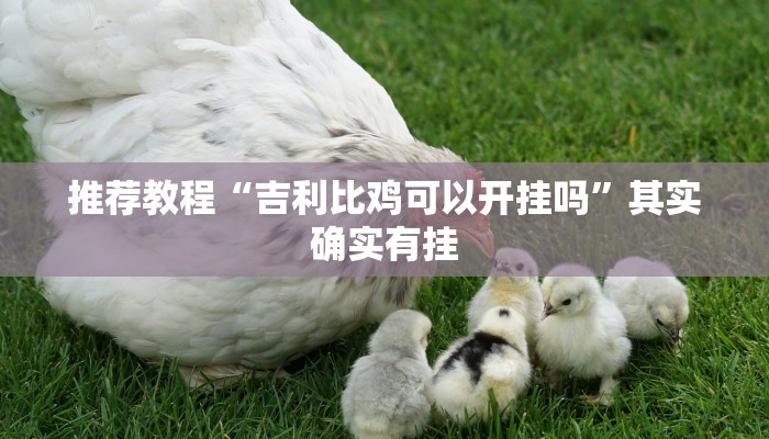 推荐教程“吉利比鸡可以开挂吗”其实确实有挂