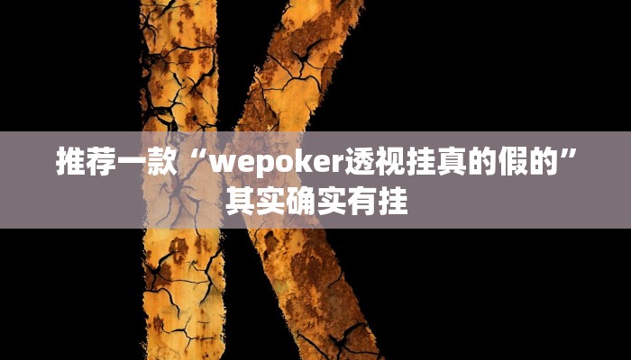 推荐一款“wepoker透视挂真的假的”其实确实有挂