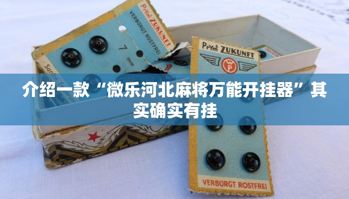 介绍一款“微乐河北麻将万能开挂器”其实确实有挂
