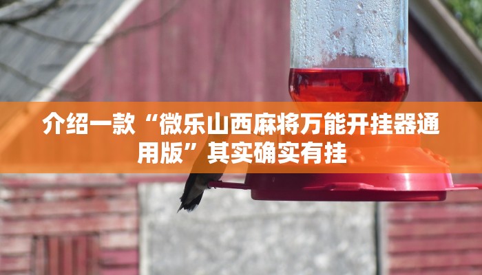 介绍一款“微乐山西麻将万能开挂器通用版”其实确实有挂