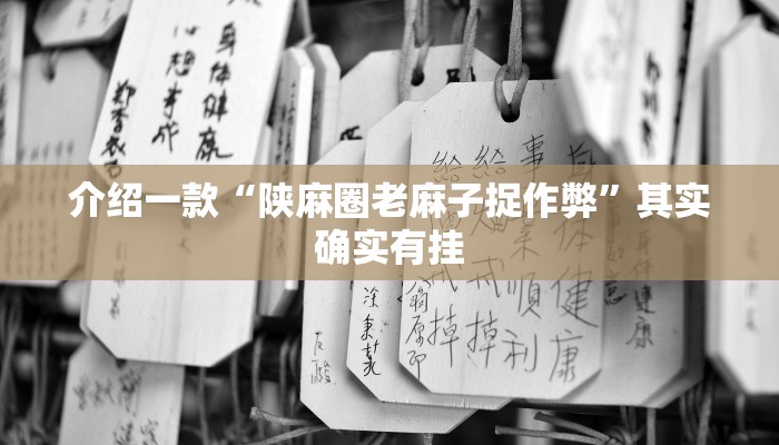 介绍一款“陕麻圈老麻子捉作弊”其实确实有挂
