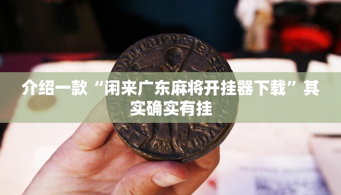介绍一款“闲来广东麻将开挂器下载”其实确实有挂