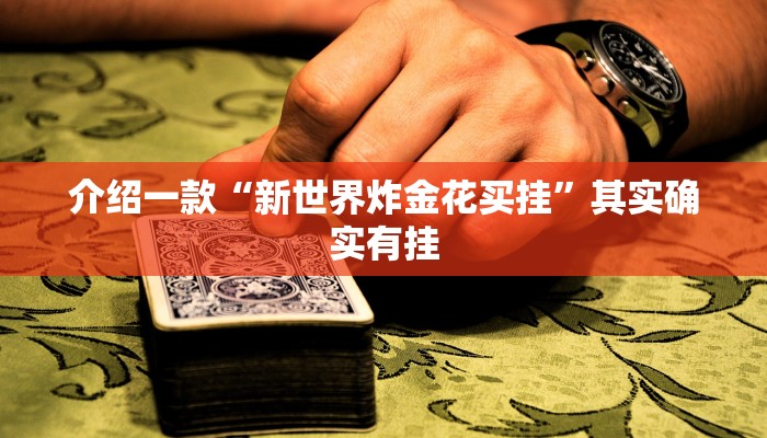 介绍一款“新世界炸金花买挂”其实确实有挂