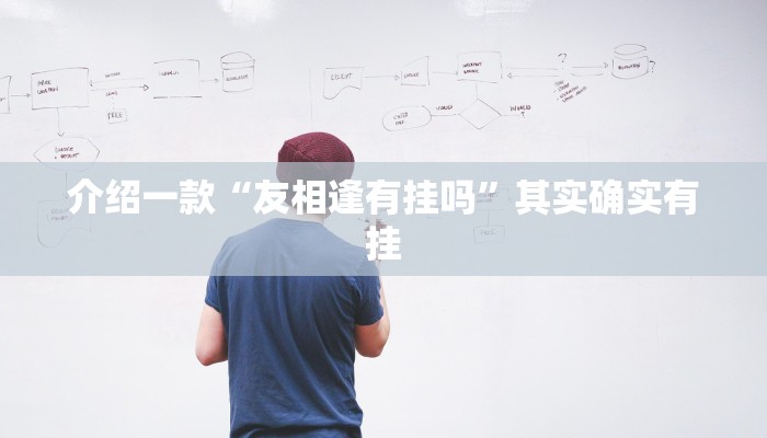 介绍一款“友相逢有挂吗”其实确实有挂
