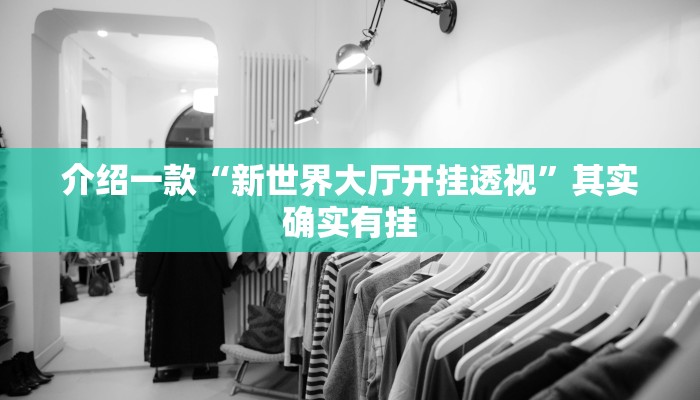 介绍一款“新世界大厅开挂透视”其实确实有挂